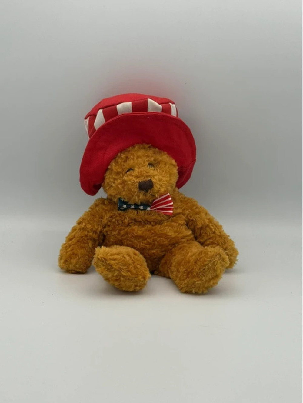 USA Bear 2000 Plushland Bear